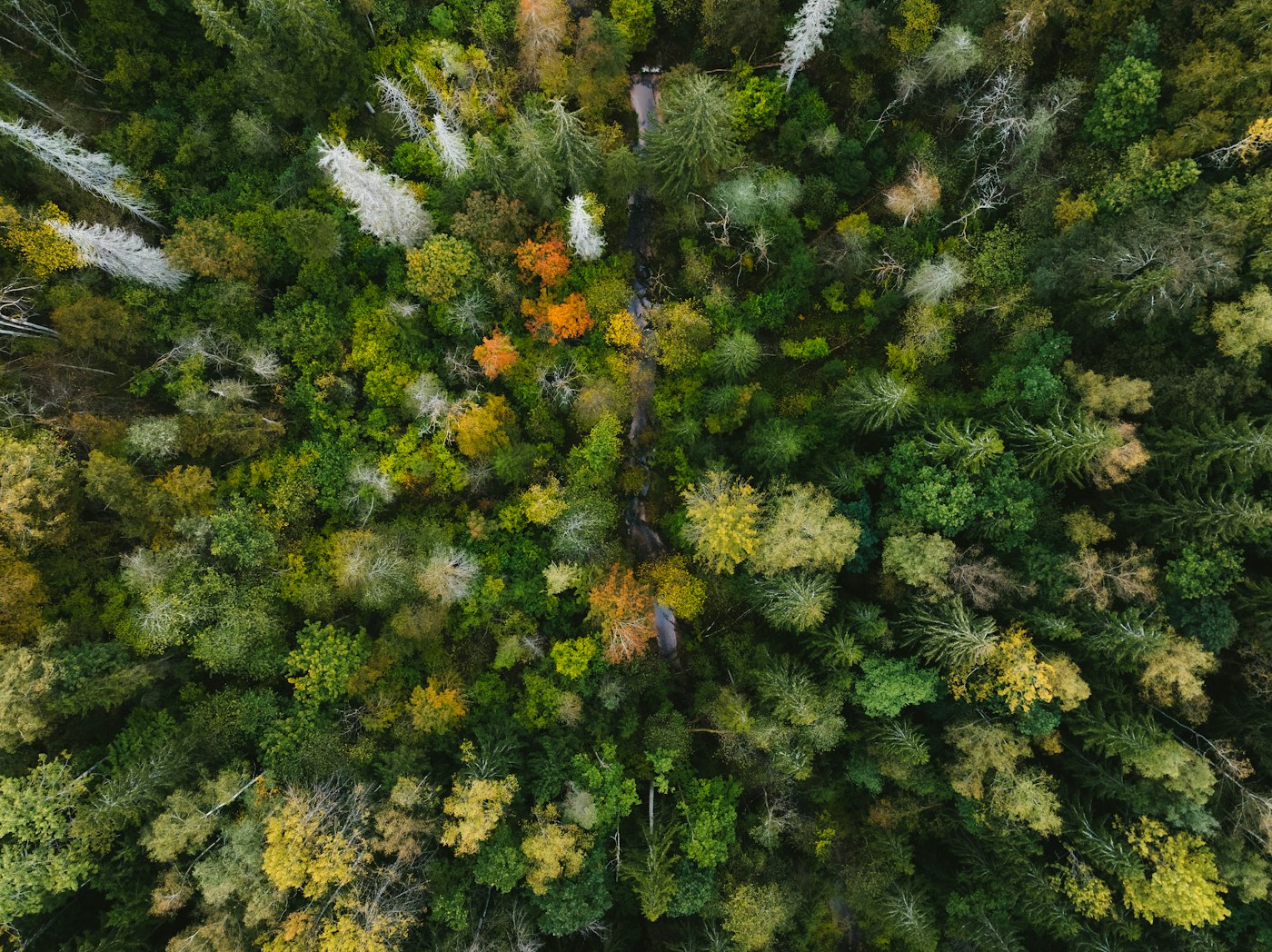 Nature illustrative photograph